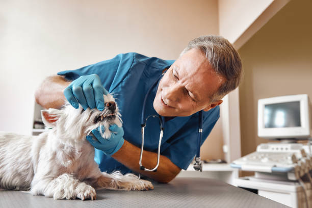  Sand Lake, MI Emergency Dentist Pros